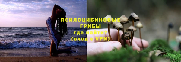 MESCALINE Богородицк