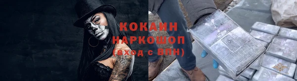 молекула духа Белокуриха