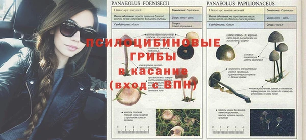 MDMA Белоозёрский