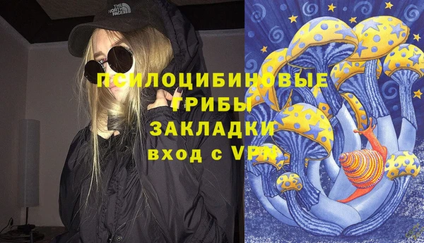 молекула духа Белокуриха